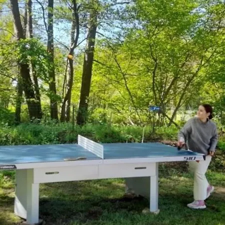Mobil-home Accueillant Animaux - 4 Pers. - Api-1-52-2616 Sauxillanges